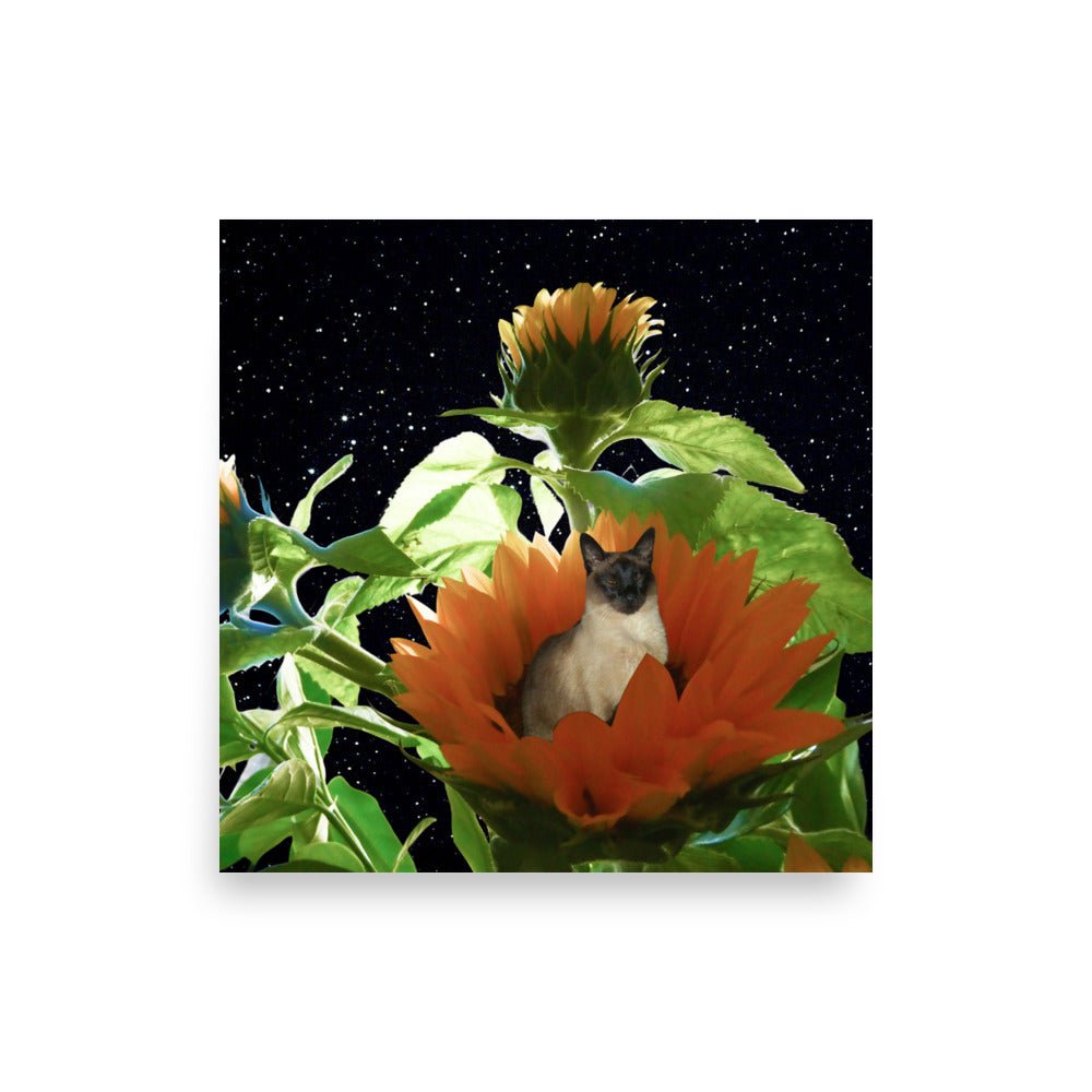 Sunflower Baby - Sarah Scapes